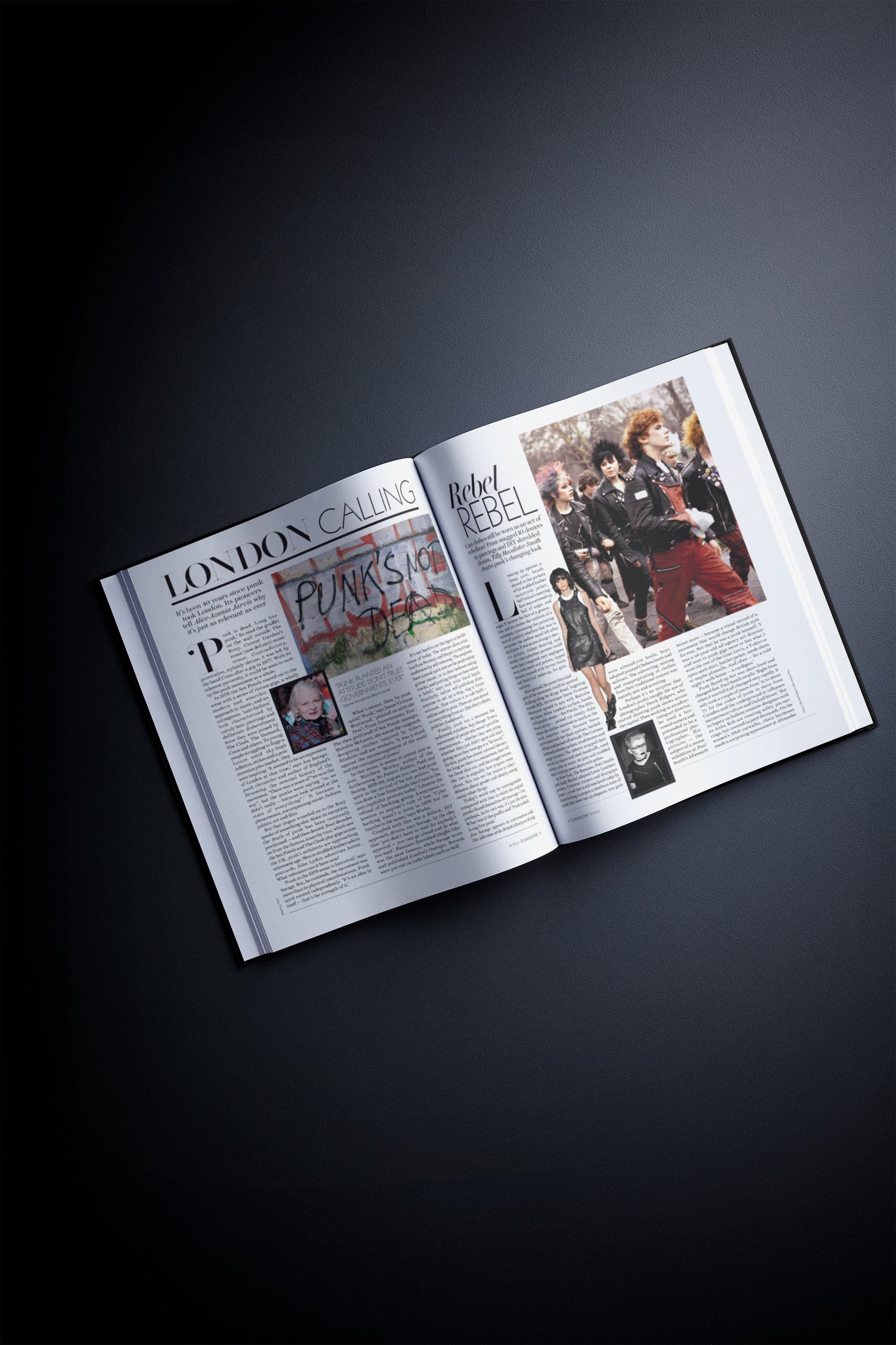 The History of Punk Evening Standard Edition