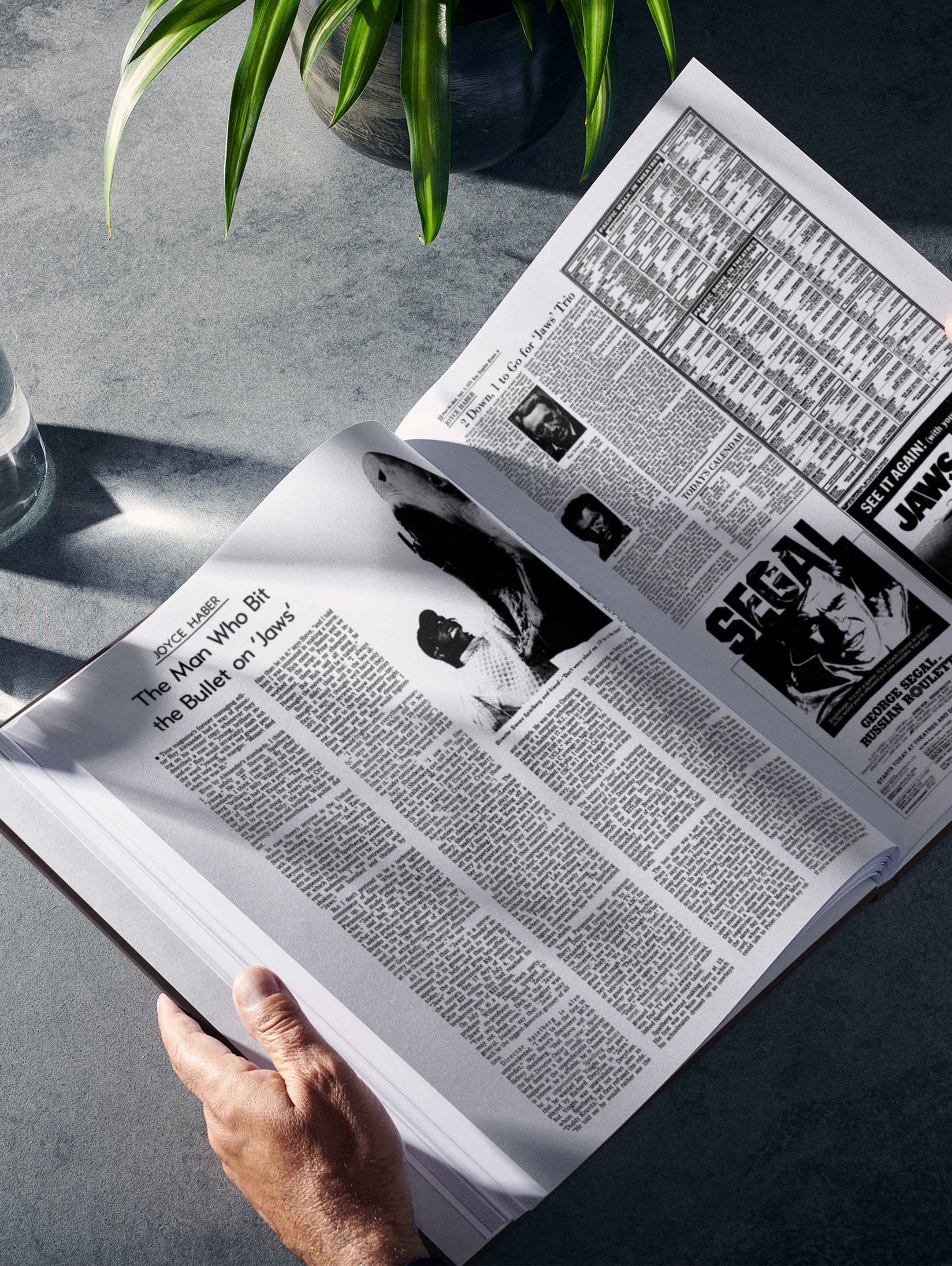 POD book titled "The Story of Steven Spielberg" by Historic Newspapers with a cover image of Spielberg on the Los Angeles Times edition.