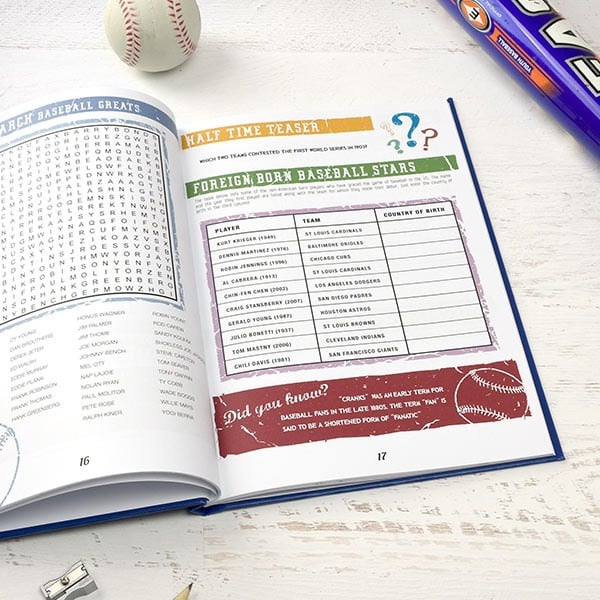 Baseball Puzzle Book