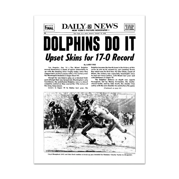 dolphins 1973